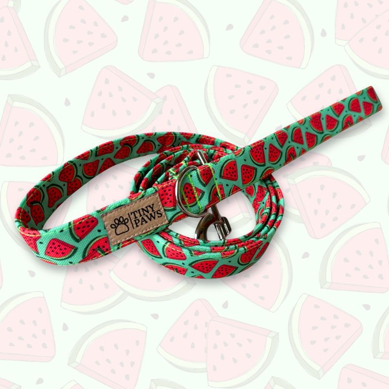 Sunkissed melon Tiny Paws póráz