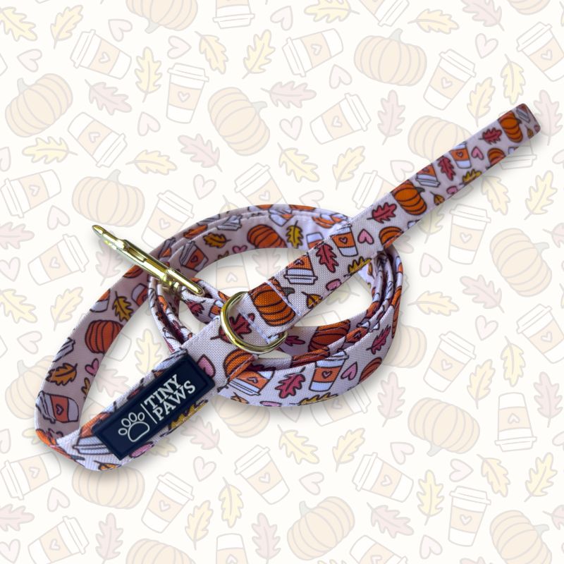 Pumpkin spice dreams póráz