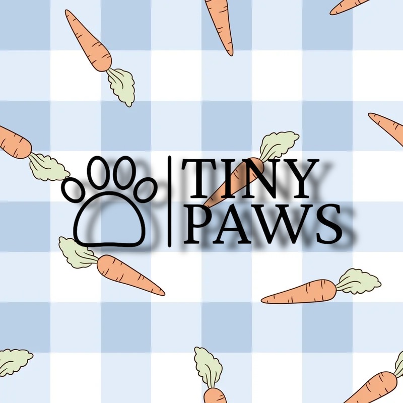 Bunny Brunch póráz