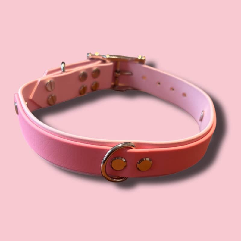 Biothane nyakörv, rózsaszín, kisállat, kutya, kutyanyakörv.