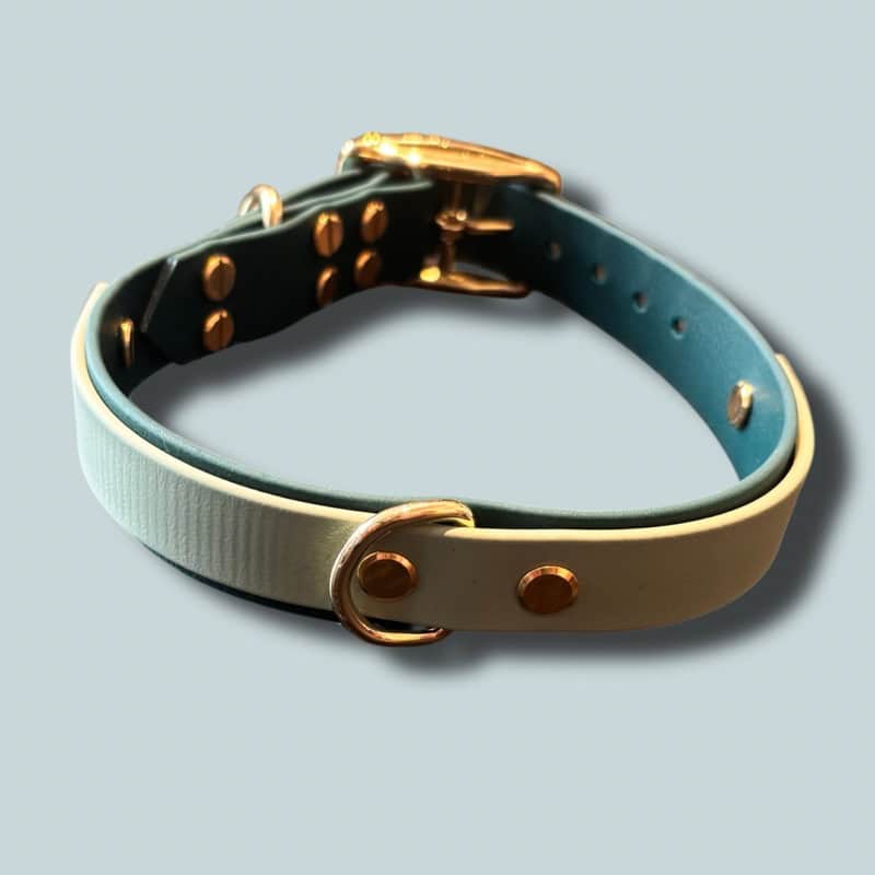 Biothane nyakörv kutyáknak, rózsaszín és kék színben. Tartós, könnyen tisztítható és kényelmes visel.