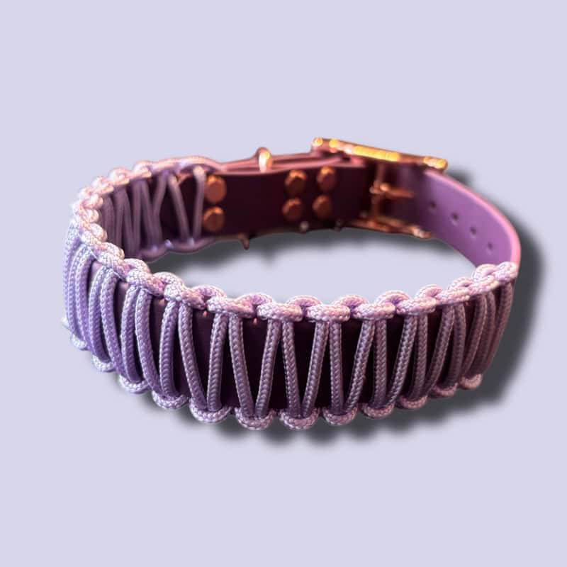 Baby pink biothane kutyanakörv, erős és stílusos kiegészítő.