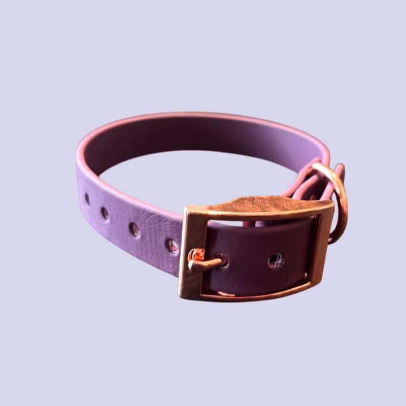 Baby pink biothane kutyanyakörv, arany szegéllyel és bőr részlettel. Ideális kisállatok számára, stí.