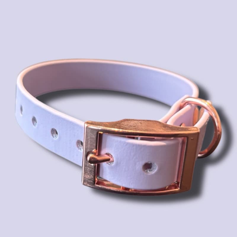 Baby pink biothane kutyanyakörv, arany színű csattal és D-gyűrűvel. Ideális kisállatok számára stílu.