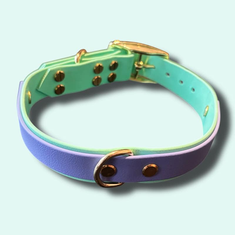 Rózsaszín biothane kutyanyakörv, könnyű és tartós anyagból. Ideális kisállatok számára, stílusos és.