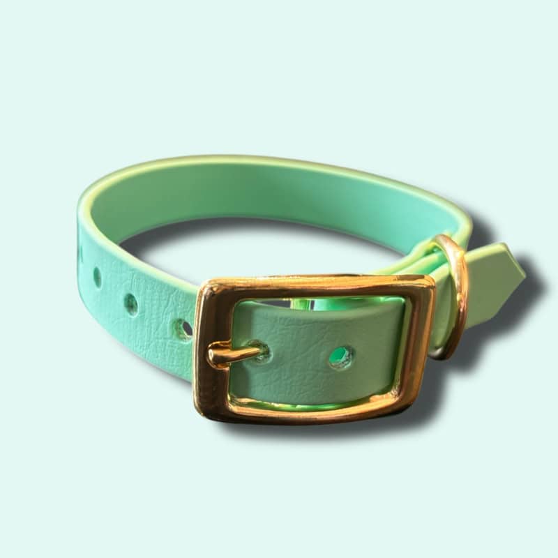 Biothane nyakörv, baby pink színben, arany díszítéssel.