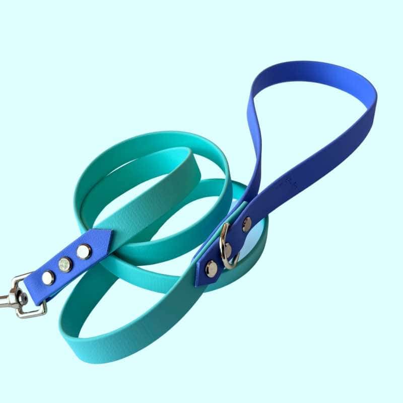 Mint-levander biothane póráz