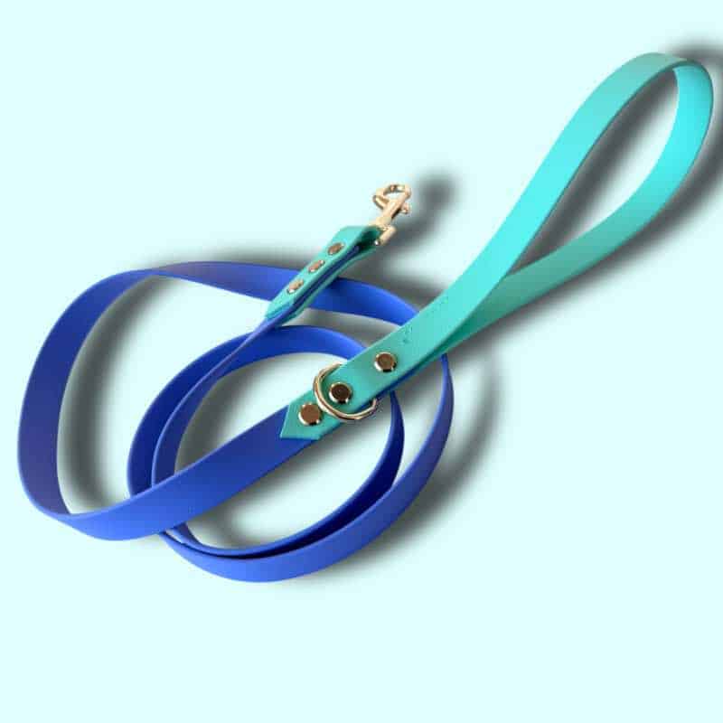 Levander-mint biothane póráz