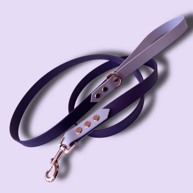 Aubergine-light purple biothane póráz