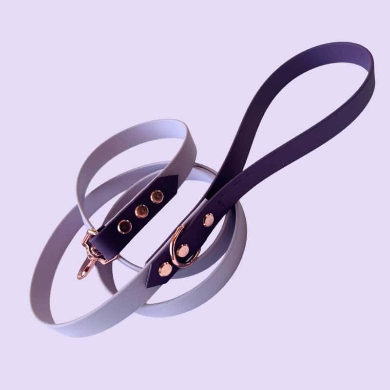 Light purple-aubergine biothane póráz