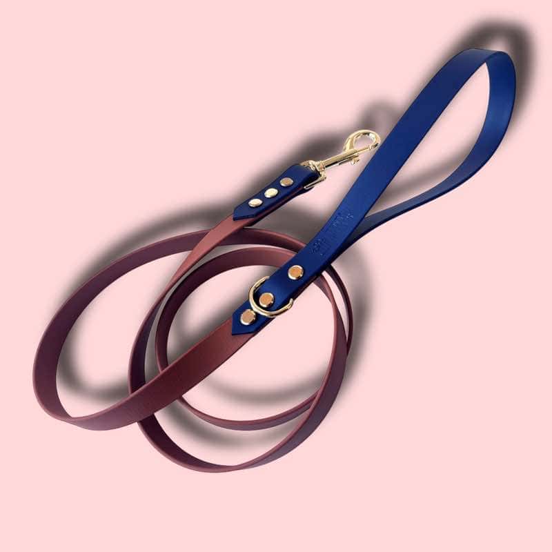 Light brown-navy biothane póráz